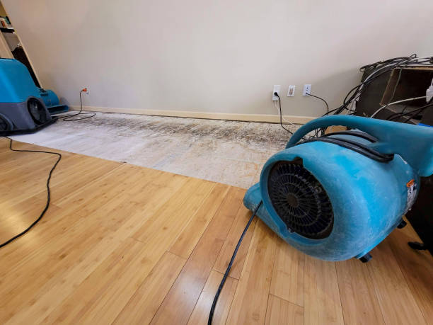 Professional Basement Flood Cleanup technician working in Savoy, TX